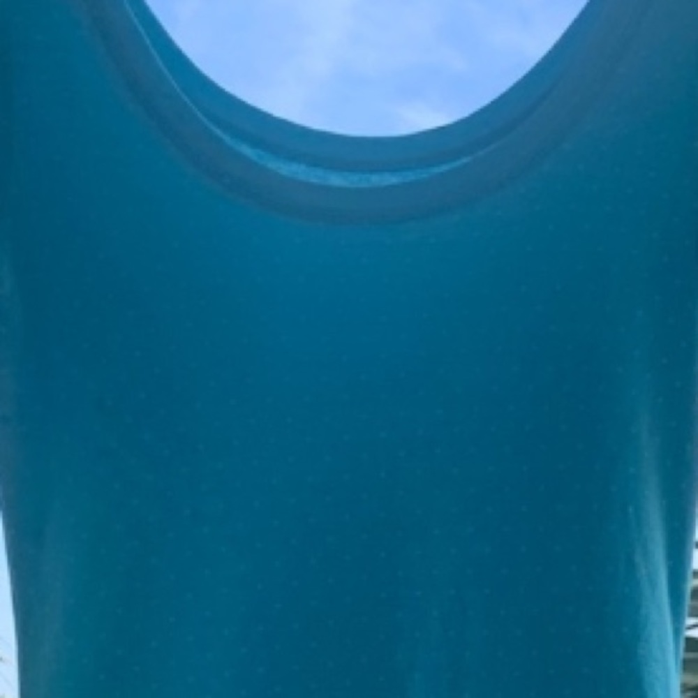 Gently Worn Express Tee